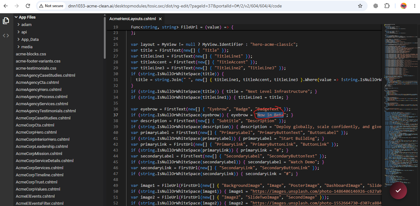 Native 2sxc code editor showing the ACMEBlocks App Files tree and AcmeHeroLayouts.cshtml